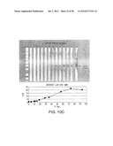 MARKERS OF XMRV INFECTION AND USES THEREOF diagram and image