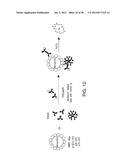 MARKERS OF XMRV INFECTION AND USES THEREOF diagram and image