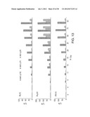 MARKERS OF XMRV INFECTION AND USES THEREOF diagram and image