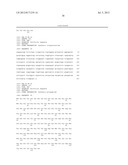 MARKERS OF XMRV INFECTION AND USES THEREOF diagram and image