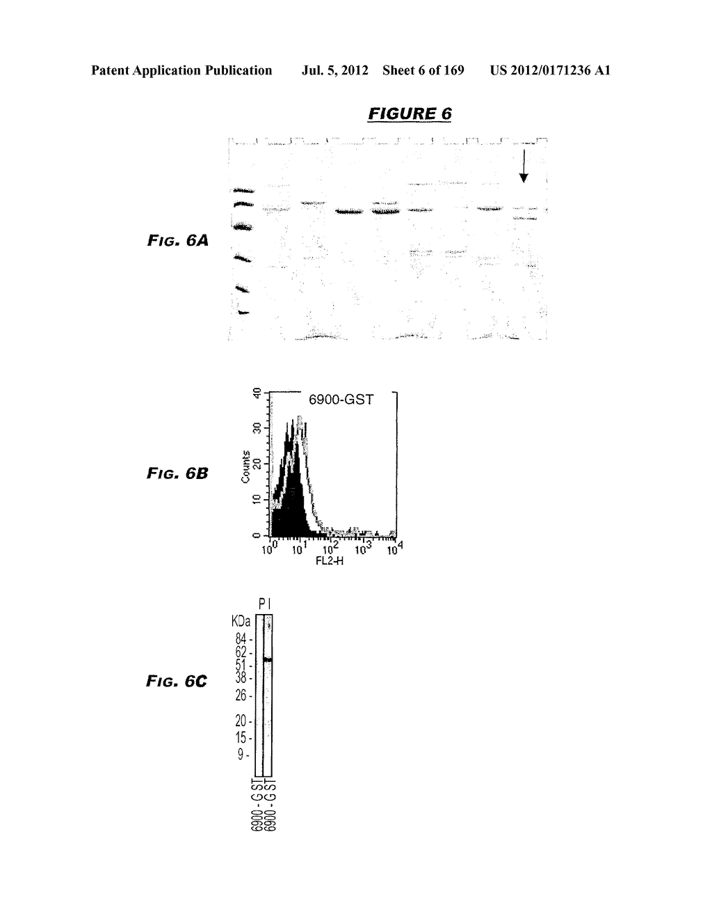 IMMUNIZATION AGAINST CHLAMYDIA PNEUMONIAE - diagram, schematic, and image 07