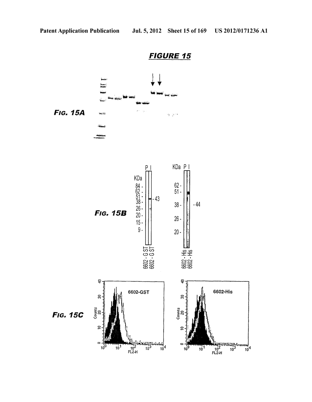 IMMUNIZATION AGAINST CHLAMYDIA PNEUMONIAE - diagram, schematic, and image 16