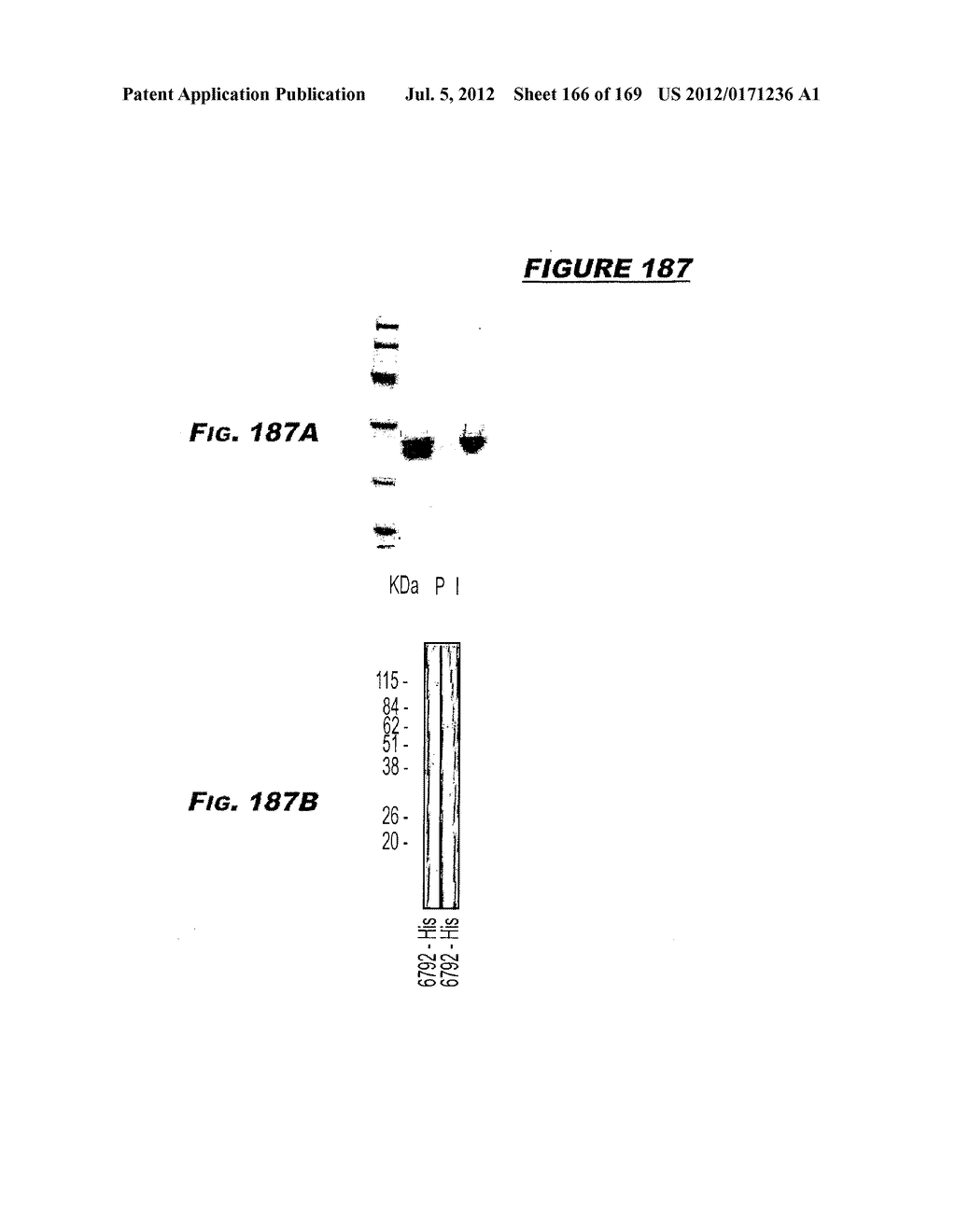 IMMUNIZATION AGAINST CHLAMYDIA PNEUMONIAE - diagram, schematic, and image 167