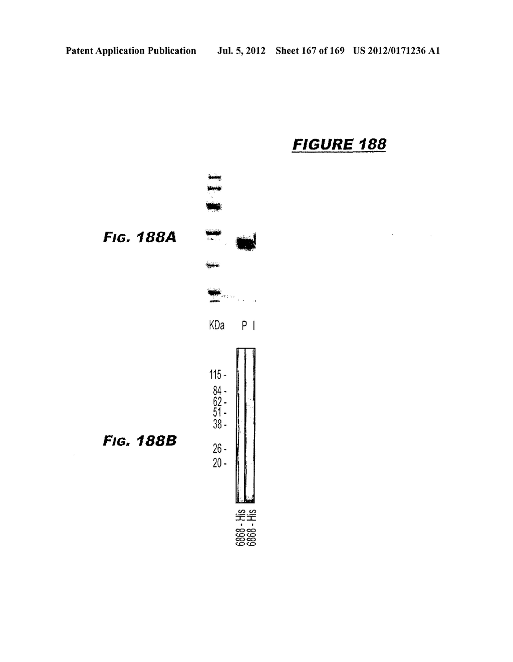 IMMUNIZATION AGAINST CHLAMYDIA PNEUMONIAE - diagram, schematic, and image 168