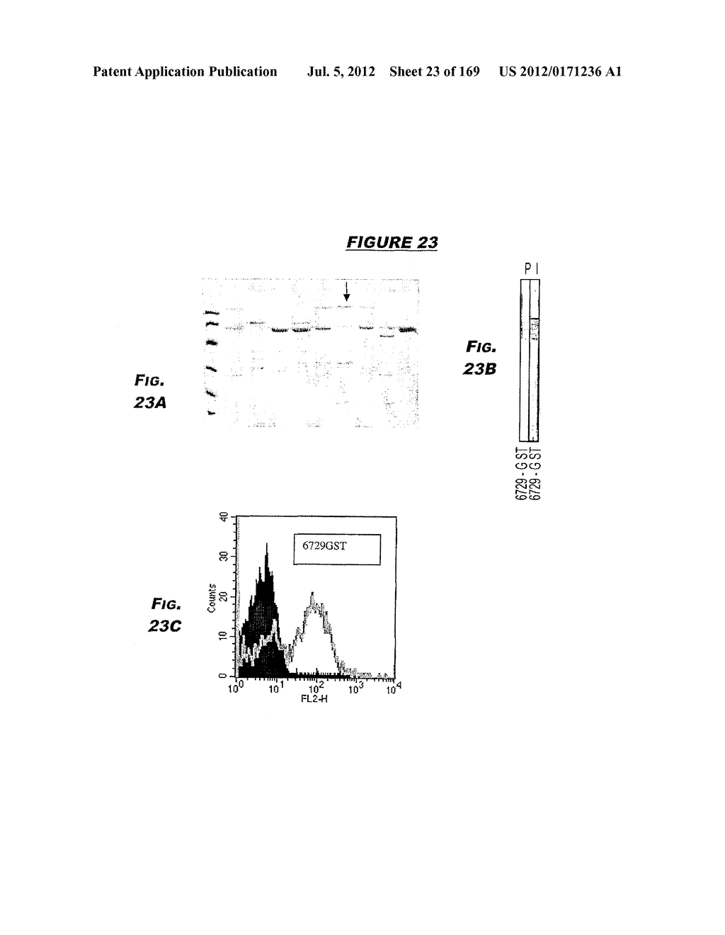 IMMUNIZATION AGAINST CHLAMYDIA PNEUMONIAE - diagram, schematic, and image 24