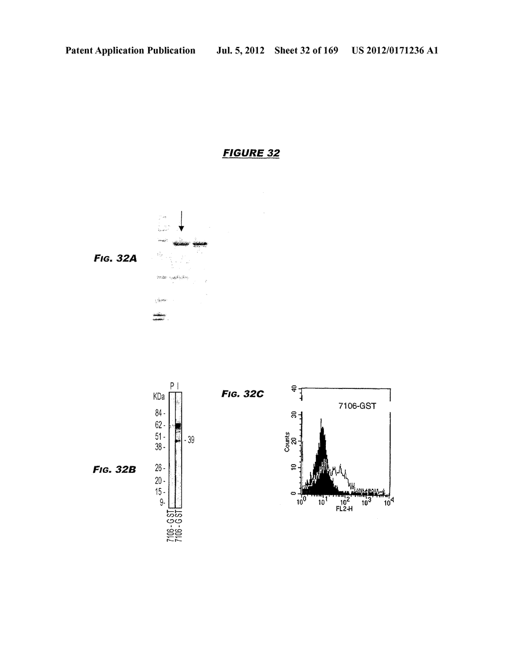 IMMUNIZATION AGAINST CHLAMYDIA PNEUMONIAE - diagram, schematic, and image 33