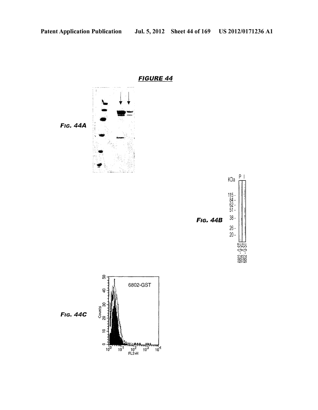 IMMUNIZATION AGAINST CHLAMYDIA PNEUMONIAE - diagram, schematic, and image 45