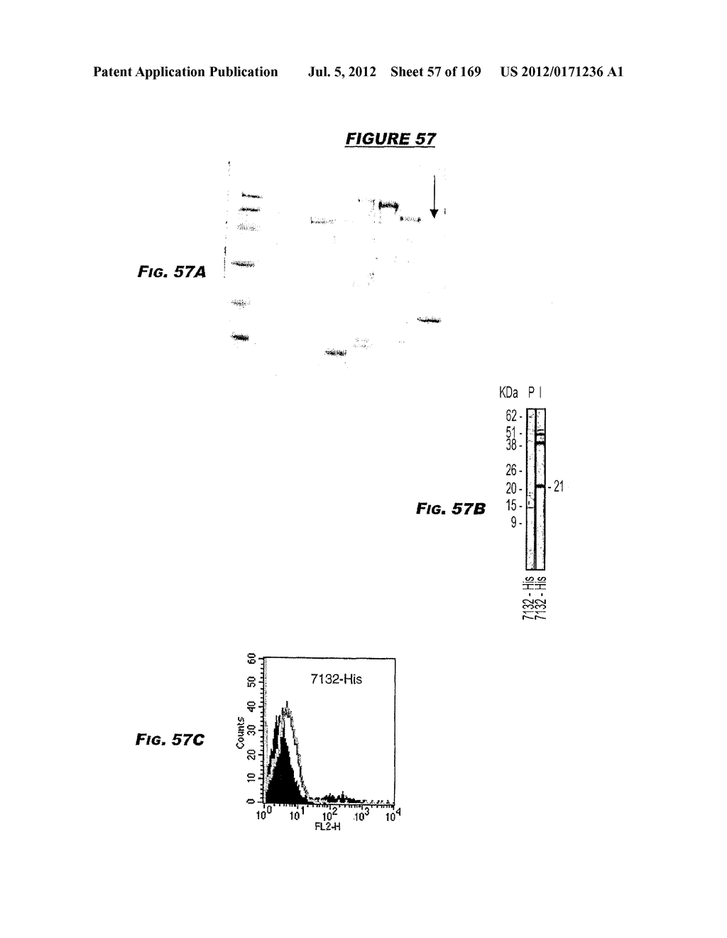 IMMUNIZATION AGAINST CHLAMYDIA PNEUMONIAE - diagram, schematic, and image 58