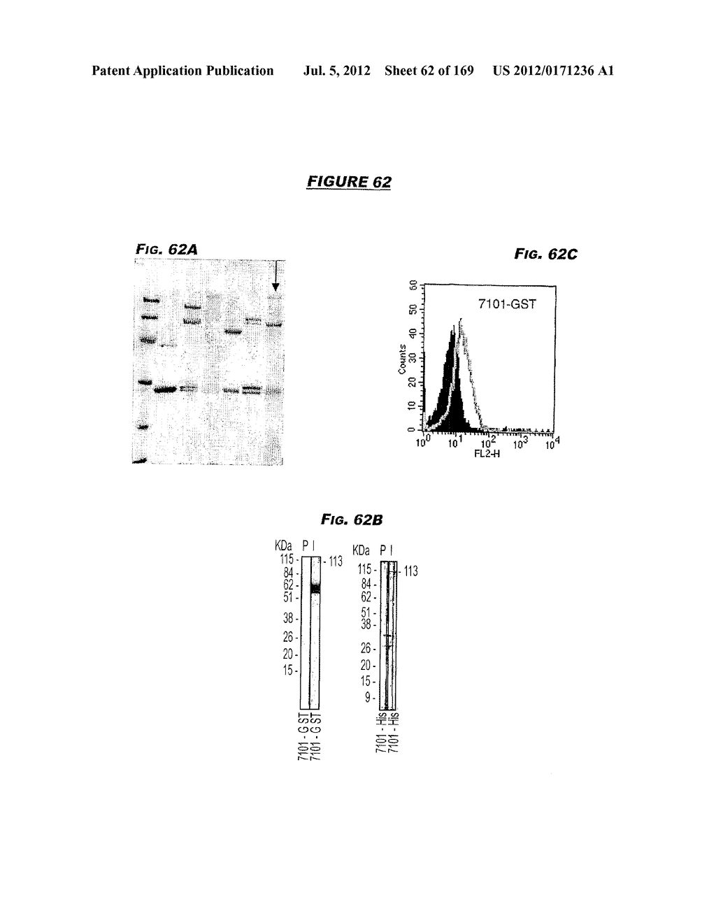 IMMUNIZATION AGAINST CHLAMYDIA PNEUMONIAE - diagram, schematic, and image 63