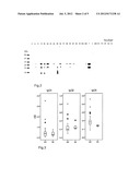 S. AUREUS ALLERGEN diagram and image