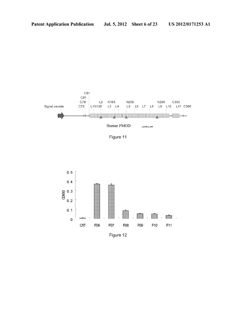 Fibromodulin Peptide - diagram, schematic, and image 07