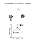 Magnesium Compositions and Uses Thereof for Neurological Disorders diagram and image