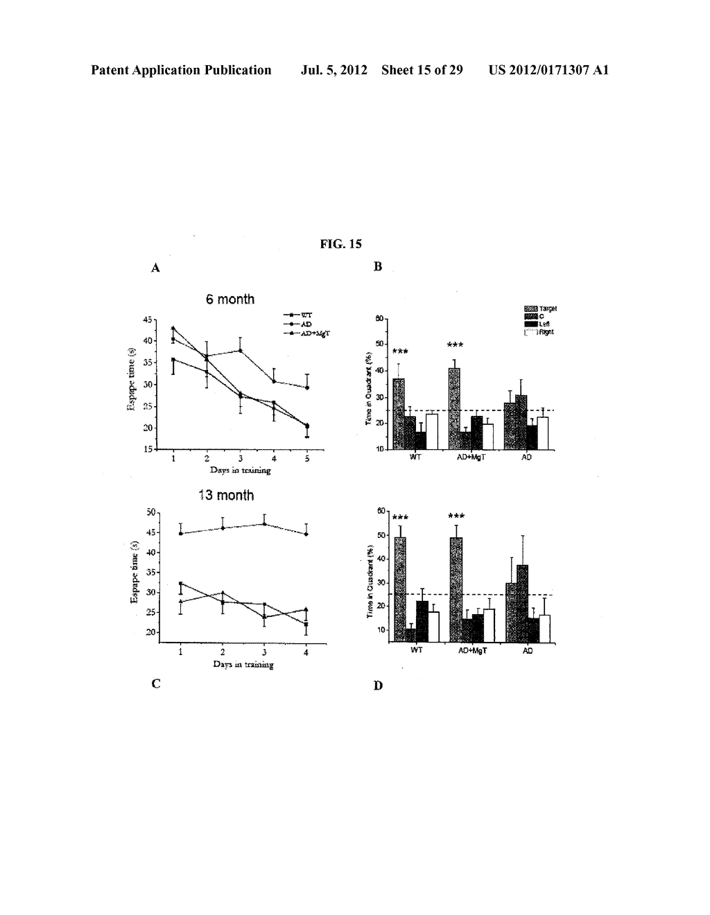 Magnesium Compositions and Uses Thereof for Neurological Disorders - diagram, schematic, and image 16