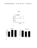 Magnesium Compositions and Uses Thereof for Neurological Disorders diagram and image