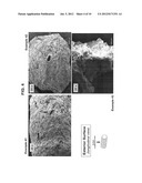 Amorphous Protein Extrudates diagram and image