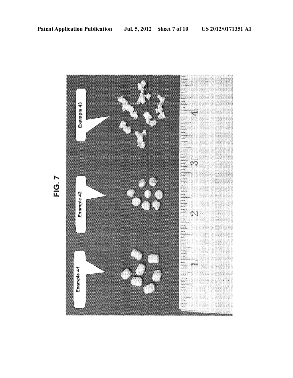 Amorphous Protein Extrudates - diagram, schematic, and image 08