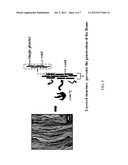 ANTI-FLAME FILM AND METHOD FOR PRODUCING THE SAME diagram and image