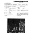 SILICON CARBIDE BODY AND METHOD OF FORMING SAME diagram and image