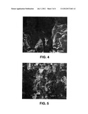 SILICON CARBIDE BODY AND METHOD OF FORMING SAME diagram and image