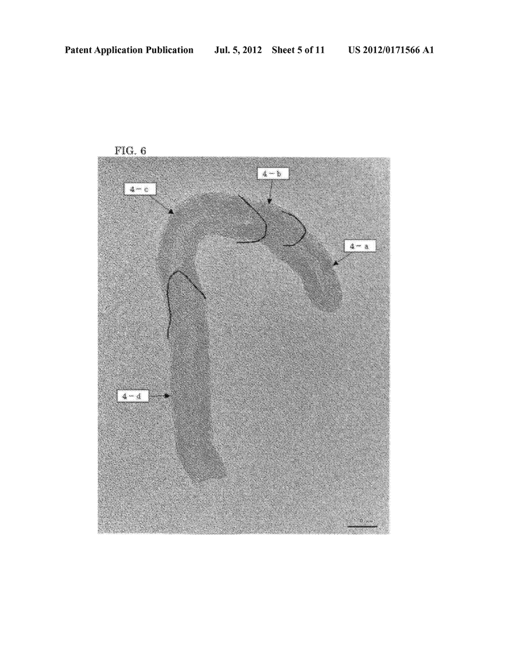 ELECTRODE FOR LITHIUM ION BATTERY AND METHOD FOR PRODUCING SAME - diagram, schematic, and image 06