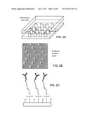 Rare Cell Analysis Using Sample Splitting And DNA Tags diagram and image