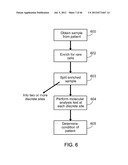 Rare Cell Analysis Using Sample Splitting And DNA Tags diagram and image