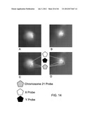 Rare Cell Analysis Using Sample Splitting And DNA Tags diagram and image