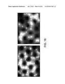 Rare Cell Analysis Using Sample Splitting And DNA Tags diagram and image