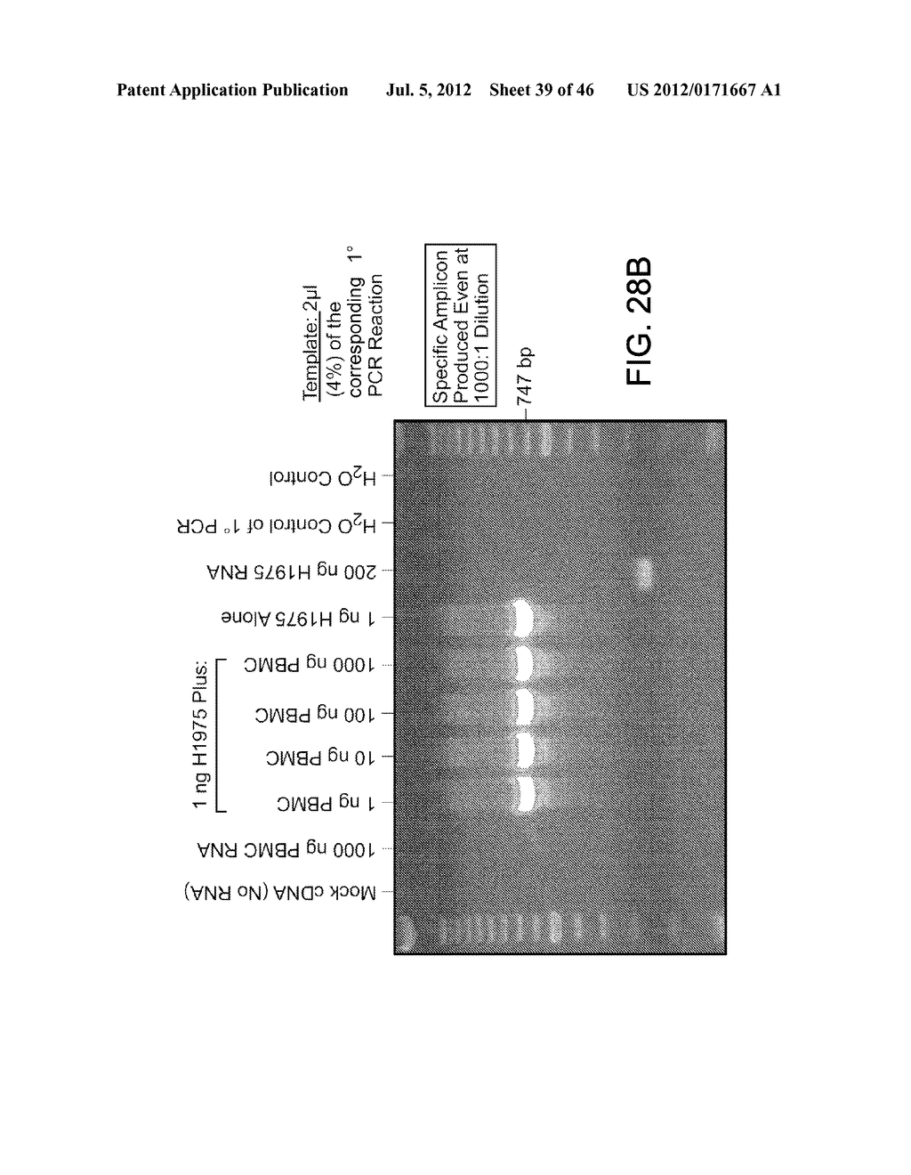 Rare Cell Analysis Using Sample Splitting And DNA Tags - diagram, schematic, and image 40