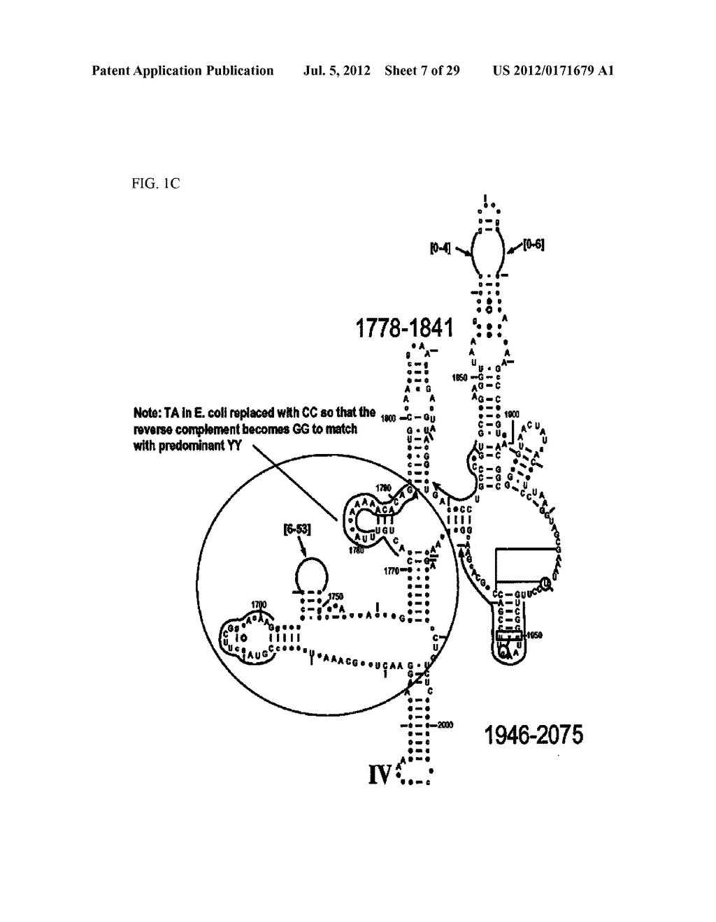 Method for Rapid Detection and Identification of Bioagents in     Epidemiological and Forensic Investigations - diagram, schematic, and image 08