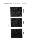 Transgenic Animals for Analyzing CYP3A4 Cytochrome P450 Gene Regulation diagram and image