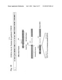 Gene Defects And Mutant ALK Kinase In Human Solid Tumors diagram and image