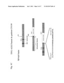 Gene Defects And Mutant ALK Kinase In Human Solid Tumors diagram and image