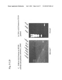 Gene Defects And Mutant ALK Kinase In Human Solid Tumors diagram and image