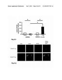 IDENTIFICATION OF REGULATORY T CELLS VIA THE GLOBAL GENE REGULATOR SATB1 diagram and image