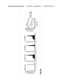 IDENTIFICATION OF REGULATORY T CELLS VIA THE GLOBAL GENE REGULATOR SATB1 diagram and image