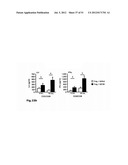 IDENTIFICATION OF REGULATORY T CELLS VIA THE GLOBAL GENE REGULATOR SATB1 diagram and image