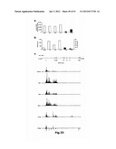 IDENTIFICATION OF REGULATORY T CELLS VIA THE GLOBAL GENE REGULATOR SATB1 diagram and image