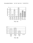 Method of Making Ribosomes diagram and image