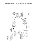 Method of Making Ribosomes diagram and image