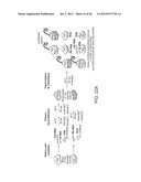 Method of Making Ribosomes diagram and image