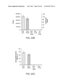 Method of Making Ribosomes diagram and image