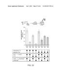 Method of Making Ribosomes diagram and image