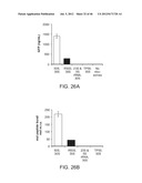 Method of Making Ribosomes diagram and image