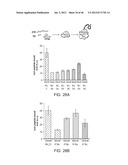 Method of Making Ribosomes diagram and image