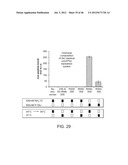 Method of Making Ribosomes diagram and image