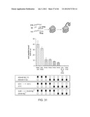 Method of Making Ribosomes diagram and image