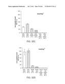 Method of Making Ribosomes diagram and image