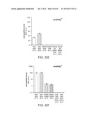 Method of Making Ribosomes diagram and image