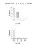 Method of Making Ribosomes diagram and image